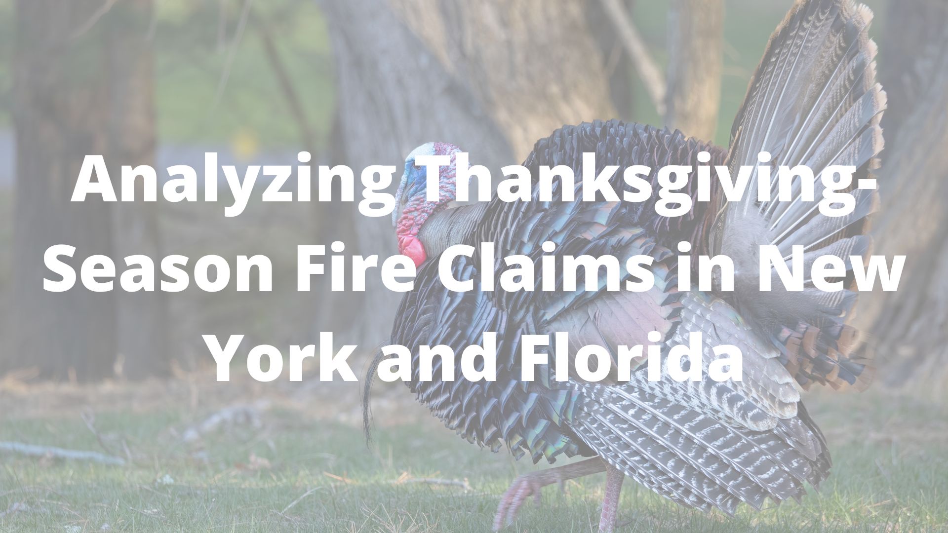 Analyzing Thanksgiving-Season Fire Claims in New York and Florida - The Law Offices of John Caravella, P.C. - FL - Article preview image