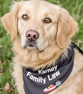 Don't Forget About The Dog! The Effects of Divorce Is Felt By All Involved